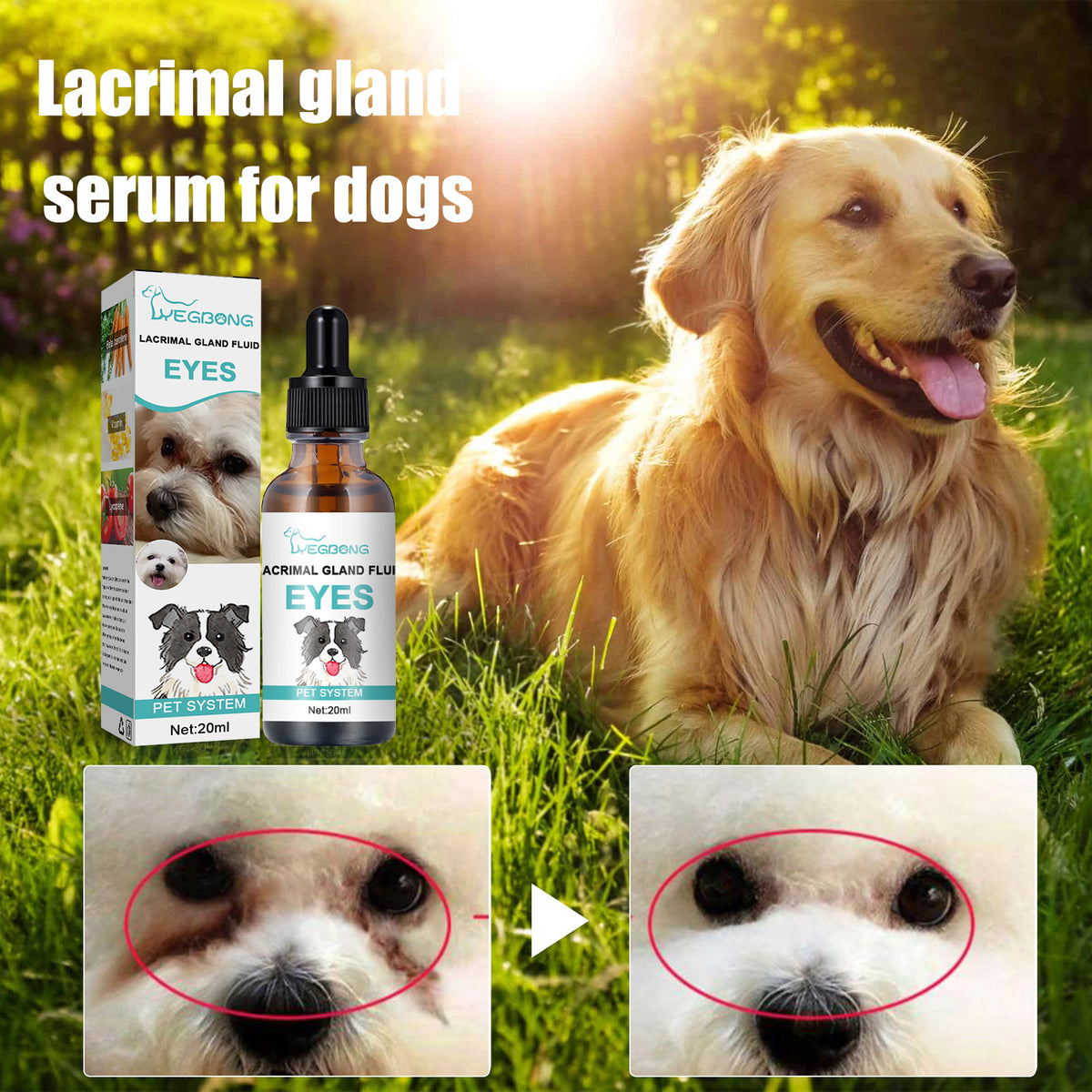 Tear Stain Serum — Topical Eye Treatment
