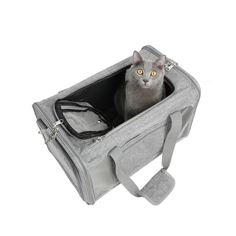 Sac de transport pour chien et chat, sacoche de transport portable pour chiots et chats, accessoire d'extérieur, en maille respirante 