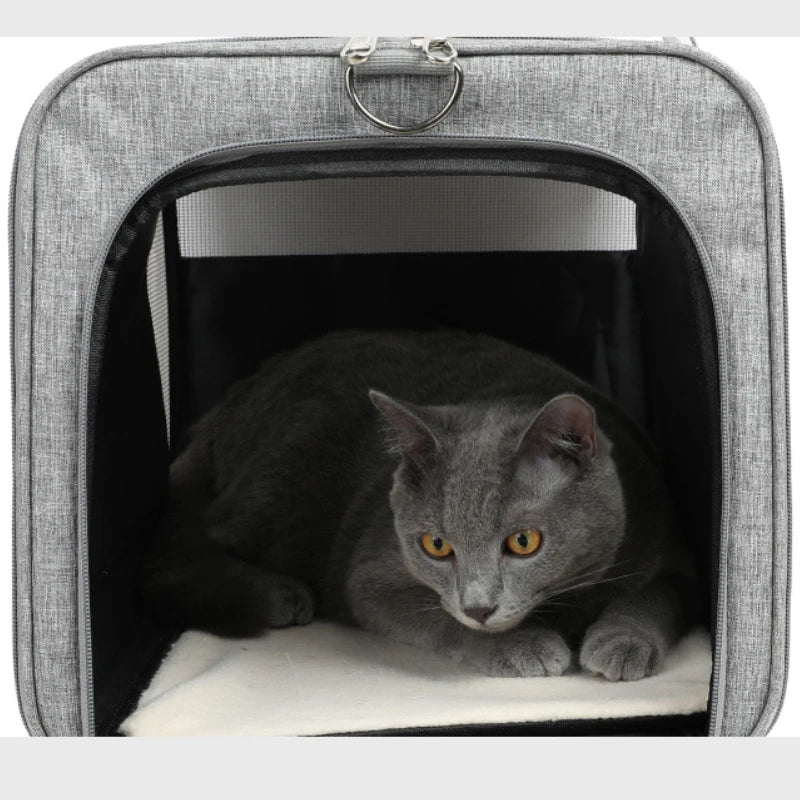 Sac de transport pour chien et chat, sacoche de transport portable pour chiots et chats, accessoire d'extérieur, en maille respirante 