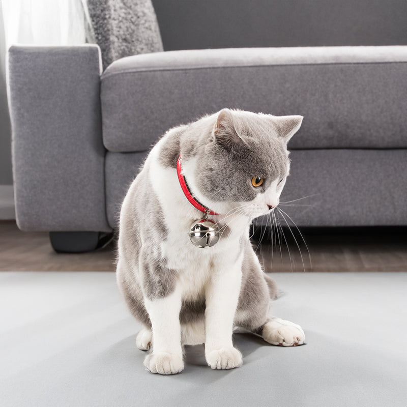 Pet Collar Bell Charm — Paw Edition