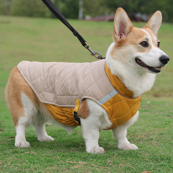 Pet Apparel black three-quarter view TPS