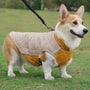 Warm reflective dog clothing