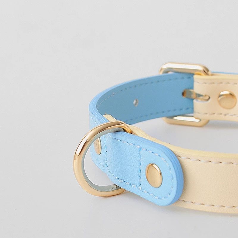 Genuine Leather Dog Leash — Classic Edition