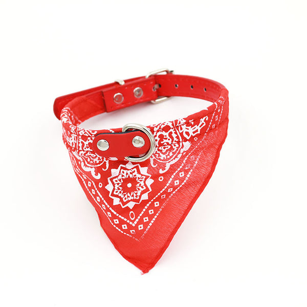 Pet Triangle Scarf — Totem Edition