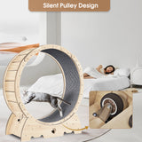 Natural wood cat running wheel gallery view — The Pet Society