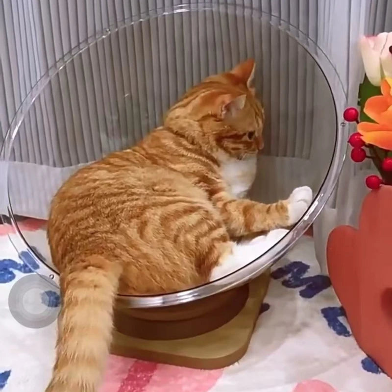 Cat Pet Bed Dog Nest House Cats Sleeping Supplies Kitten Small Puppy Washable Beds Accessories Comfortable Basket Bag Cave