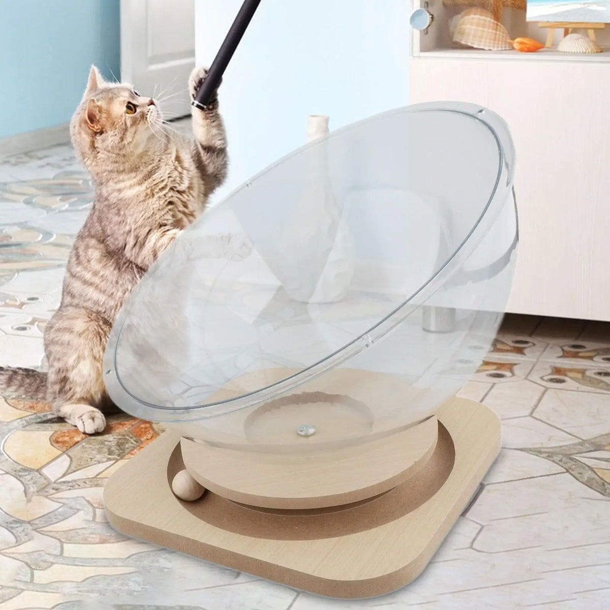 Acrylic Space Capsule Cat Bed