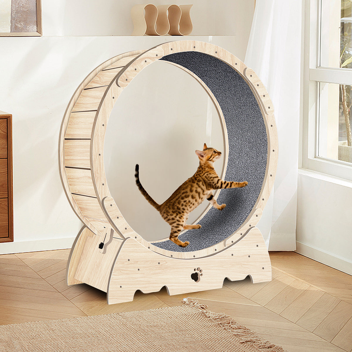 Cat running on natural wood exercise wheel lifestyle scene — The Pet Society