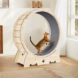 Cat running on natural wood exercise wheel lifestyle scene — The Pet Society