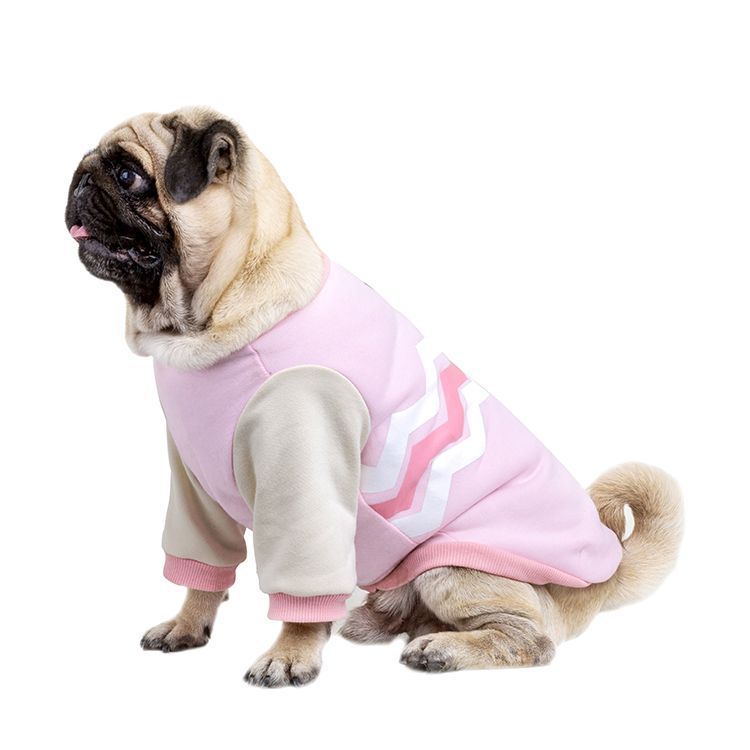 Warm Cotton Pet Sweater — Winter Edition