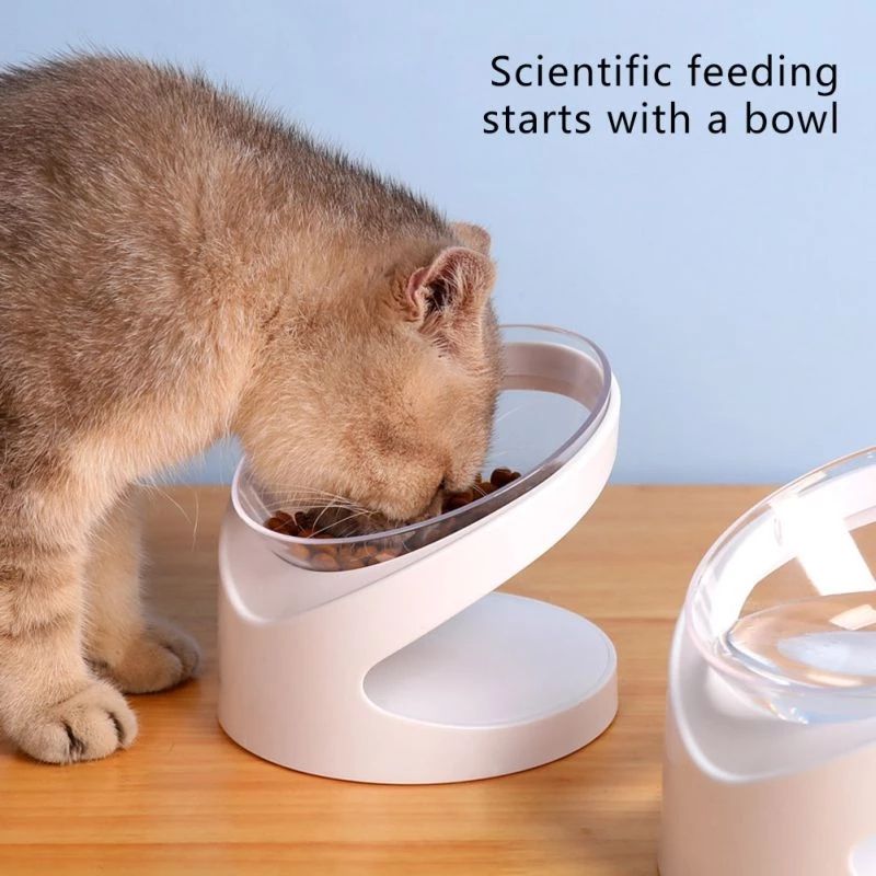 Ergonomic Tilted Pet Bowl — Cervical Edition