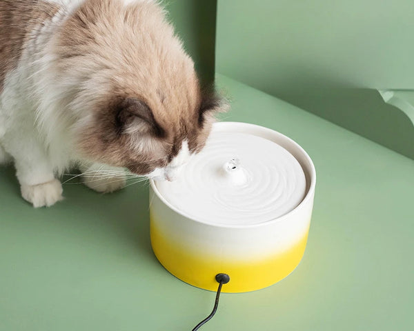 Pet Cat Drinking Fountain Automatic Electric Ceramic Heating Water Dispenser Drinking Fountain Drinking Water Circulating Bowl