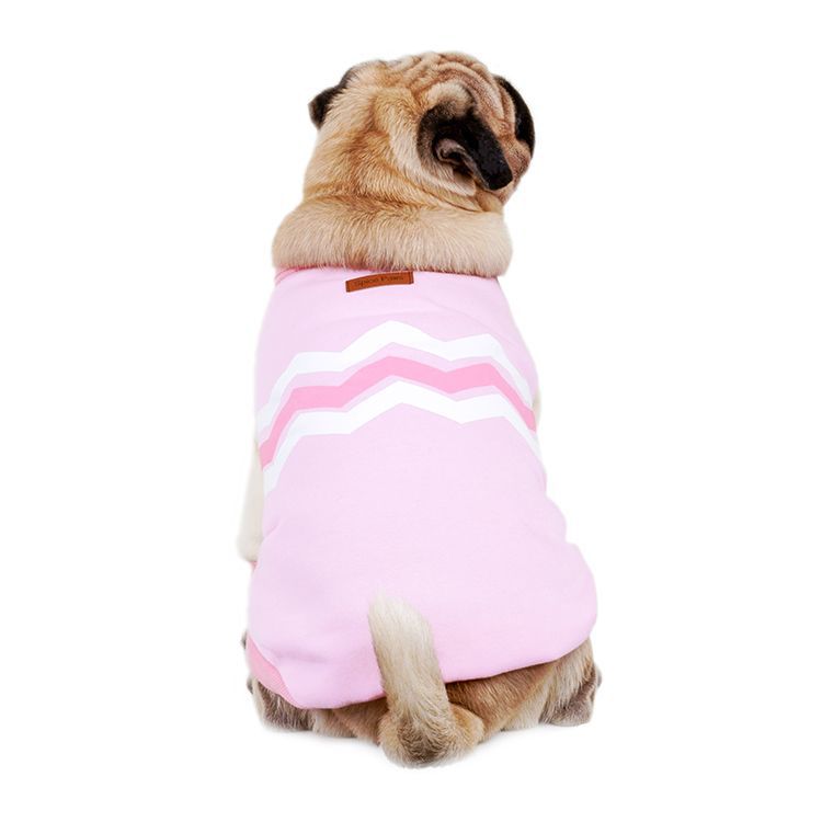 Warm Cotton Pet Sweater — Winter Edition