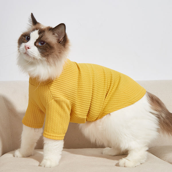 Pet Summer T-Shirt — Solid Edition