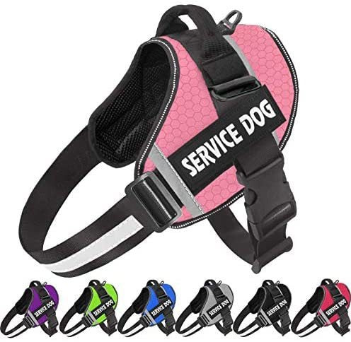 Reflective Pet Chest Harness — Comfort Edition