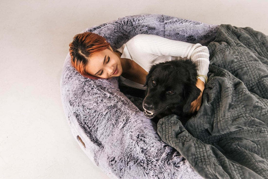 Cozy Dog Bed for Humans Portable Pet Bed Giant Dog Bed Human Bed Cat Bed Dog Bed, perfect for snuggling with pets.