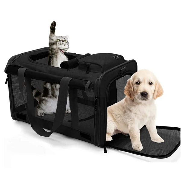 Sac de transport pour chien et chat, portable, en maille respirante, pour l'extérieur, à bandoulière, accessoire pour chat 