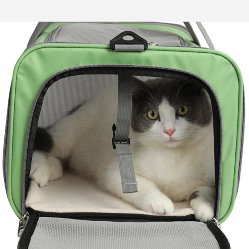 Sac de transport pour chien et chat, sacoche de transport portable pour chiots et chats, accessoire d'extérieur, en maille respirante 