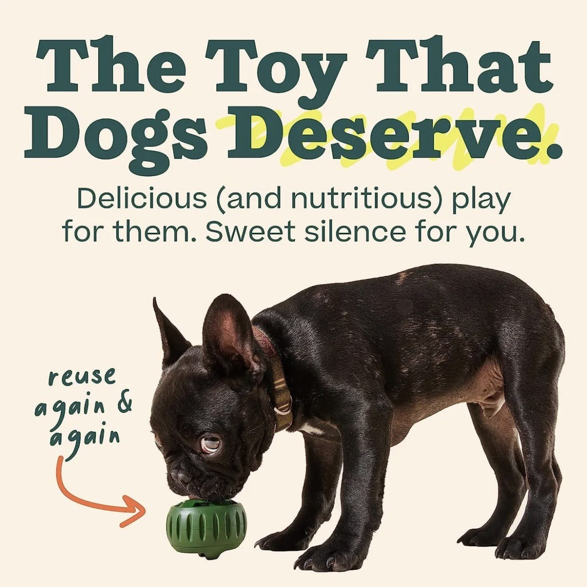 Pet Slow Feeder Bowl — Interactive Edition