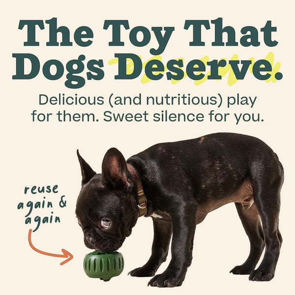 Pet Slow Feeder Bowl — Interactive Edition