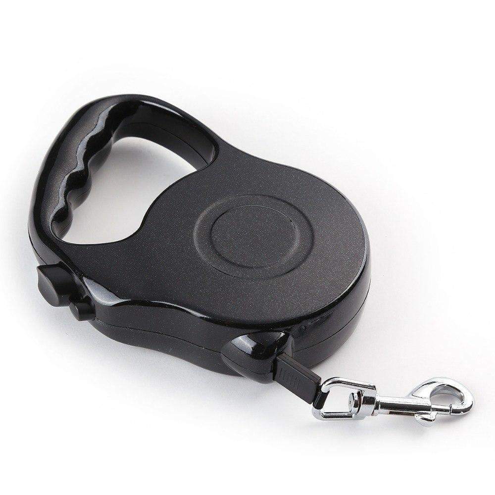 Walking a dog with the extending nylon leash lifestyle scene — The Pet Society