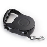 Walking a dog with the extending nylon leash lifestyle scene — The Pet Society