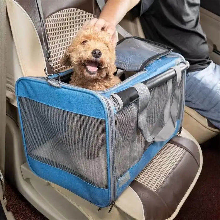Sac de transport pour chien et chat, portable, en maille respirante, pour l'extérieur, à bandoulière, accessoire pour chat 