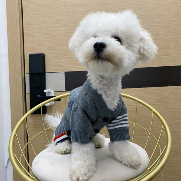 Pet Knit Cardigan — Bear Edition