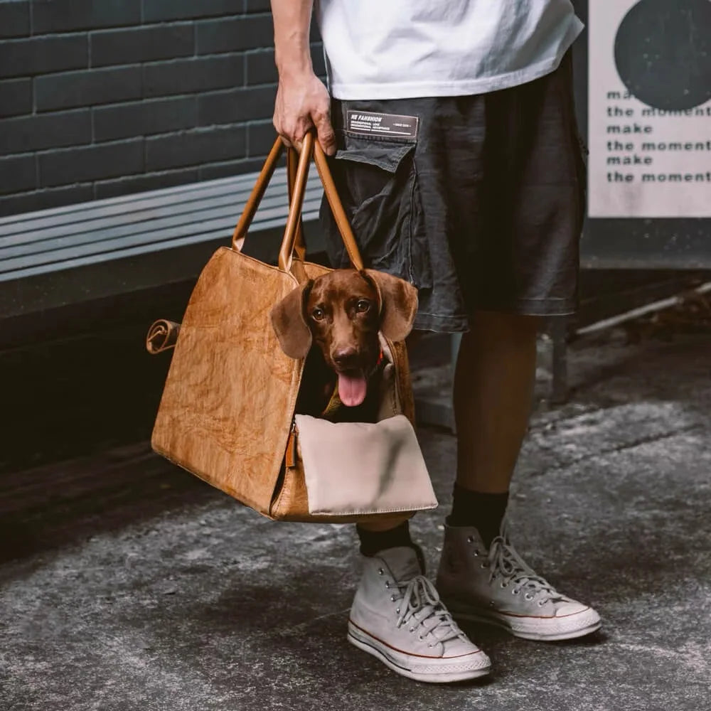 Sac de transport en cuir de luxe pour petits chiens et chats, sacoche de transport pour animaux de compagnie, sac à main pour chiots, lit pour animaux, sac de voyage pour voiture 