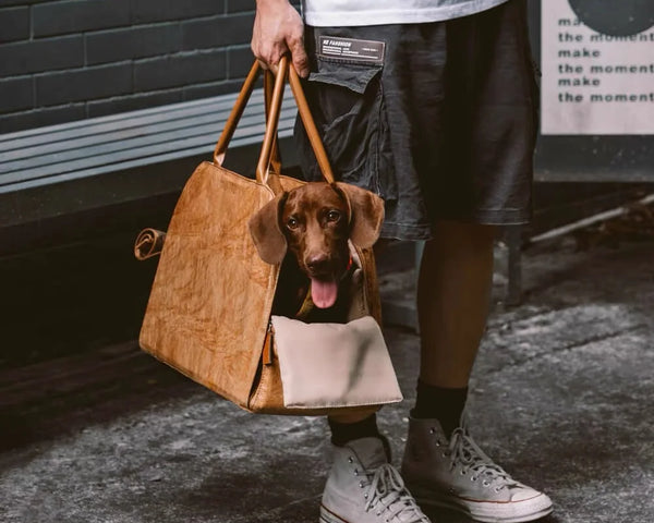Luxury Leather Small Dog Transport Outdoor Pet Shoulder Cat Carrier Carrying Handbag Puppy Animal Bed Car Sling Travel Bag