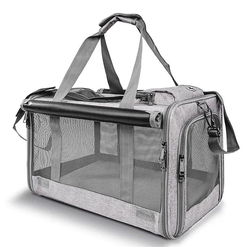 Sac de transport pour chien et chat, portable, en maille respirante, pour l'extérieur, à bandoulière, accessoire pour chat 