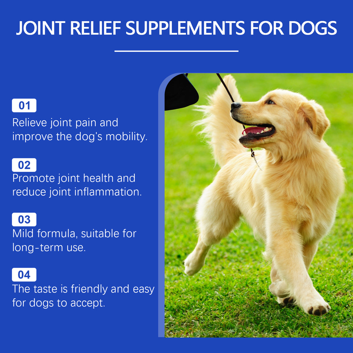 Supplement in-use scene TPS