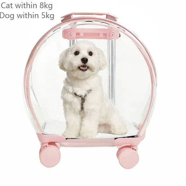 Rolling Pet Carrier — Selection TPS, angle 6 — The Pet Society