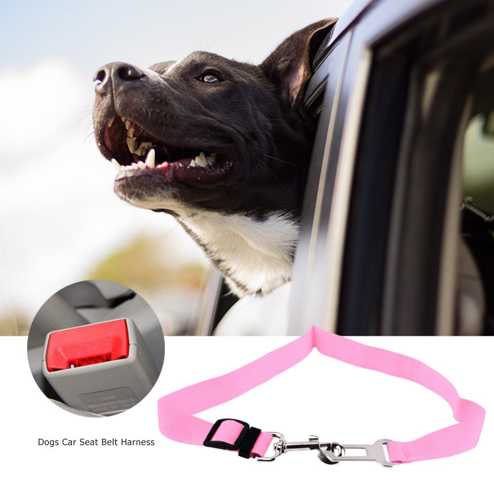 Dog Seat Belt black texture close-up TPS