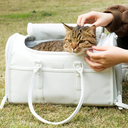 Dogs Backpack Dog Carrier Bag For Small Pet Carrying for Cat Travel Airline Shoulder Pet Supplies Puppy Accessories Large Space