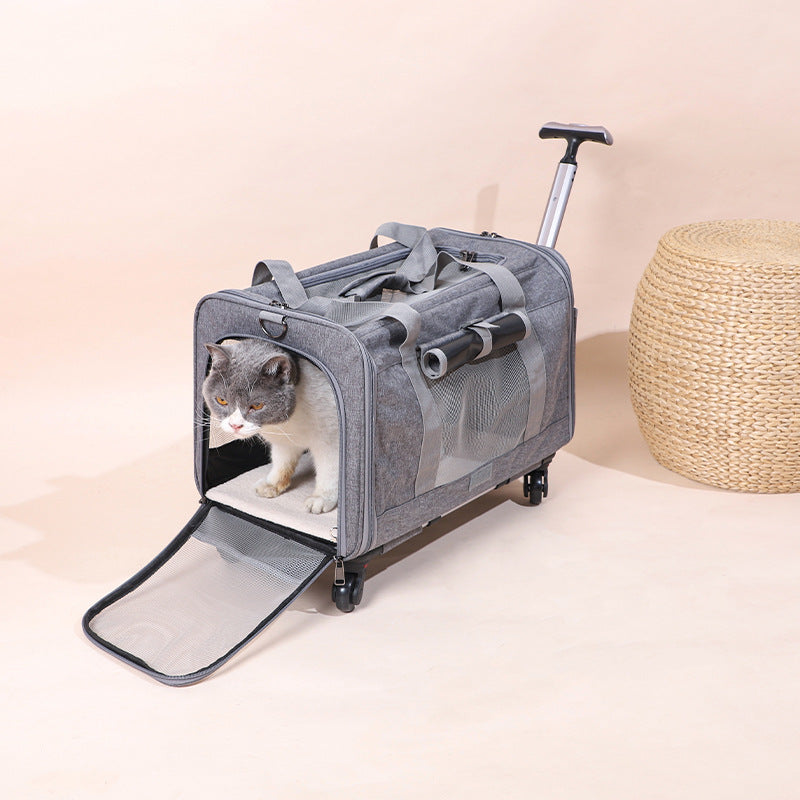 Pet Rolling Travel Carrier