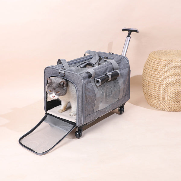 Pet Rolling Travel Carrier