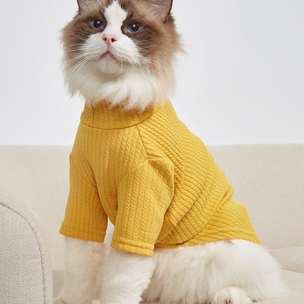 Pet Summer T-Shirt — Solid Edition
