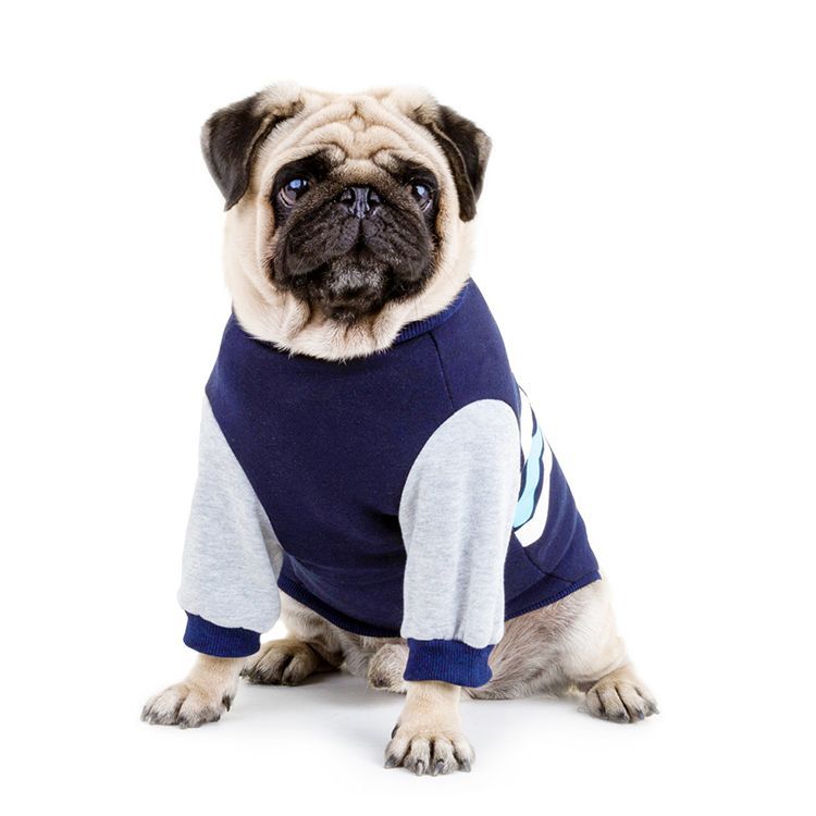Warm Cotton Pet Sweater — Winter Edition
