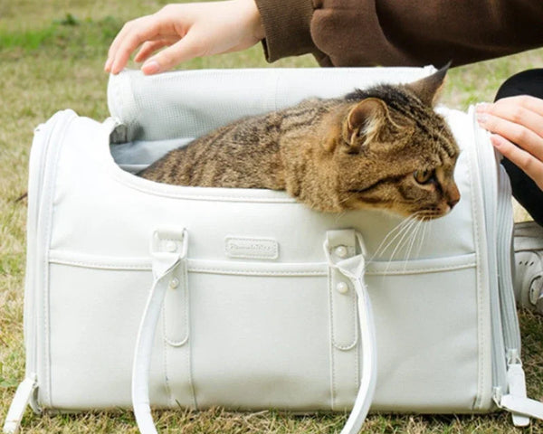 Dogs Backpack Dog Carrier Bag For Small Pet Carrying for Cat Travel Airline Shoulder Pet Supplies Puppy Accessories Large Space