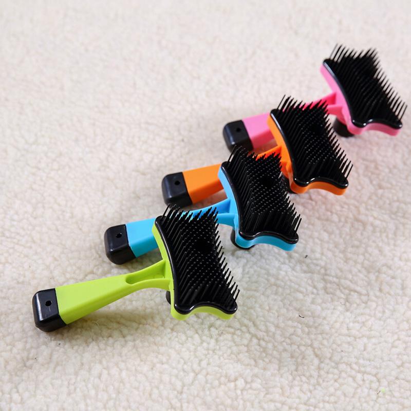 Grooming a pet with the slicker comb lifestyle scene — The Pet Society