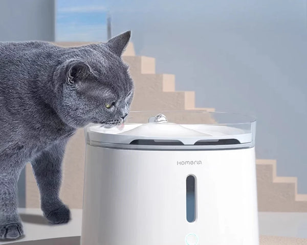 Fontaine à eau pour chat avec filtre USB et capteur automatique, distributeur électrique silencieux pour animaux de compagnie et chiens