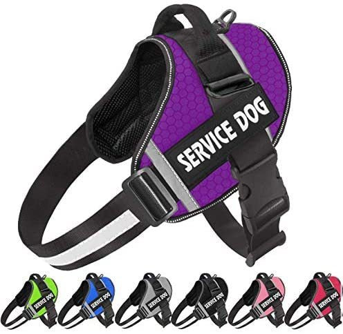 Reflective Pet Chest Harness — Comfort Edition