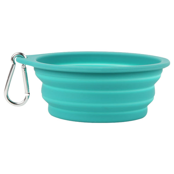 Bowl full view light background TPS