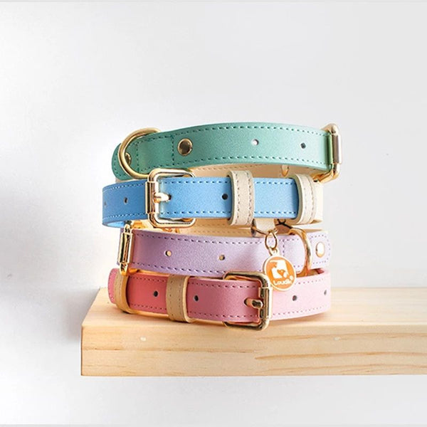 Genuine Leather Dog Leash — Classic Edition