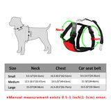 Dog Seat Belt black texture close-up TPS