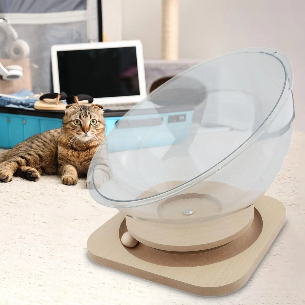 Acrylic Space Capsule Cat Bed