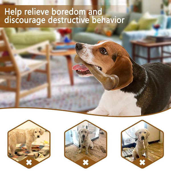 Dental Bone Chew Toy — Molar & Teeth Cleaning