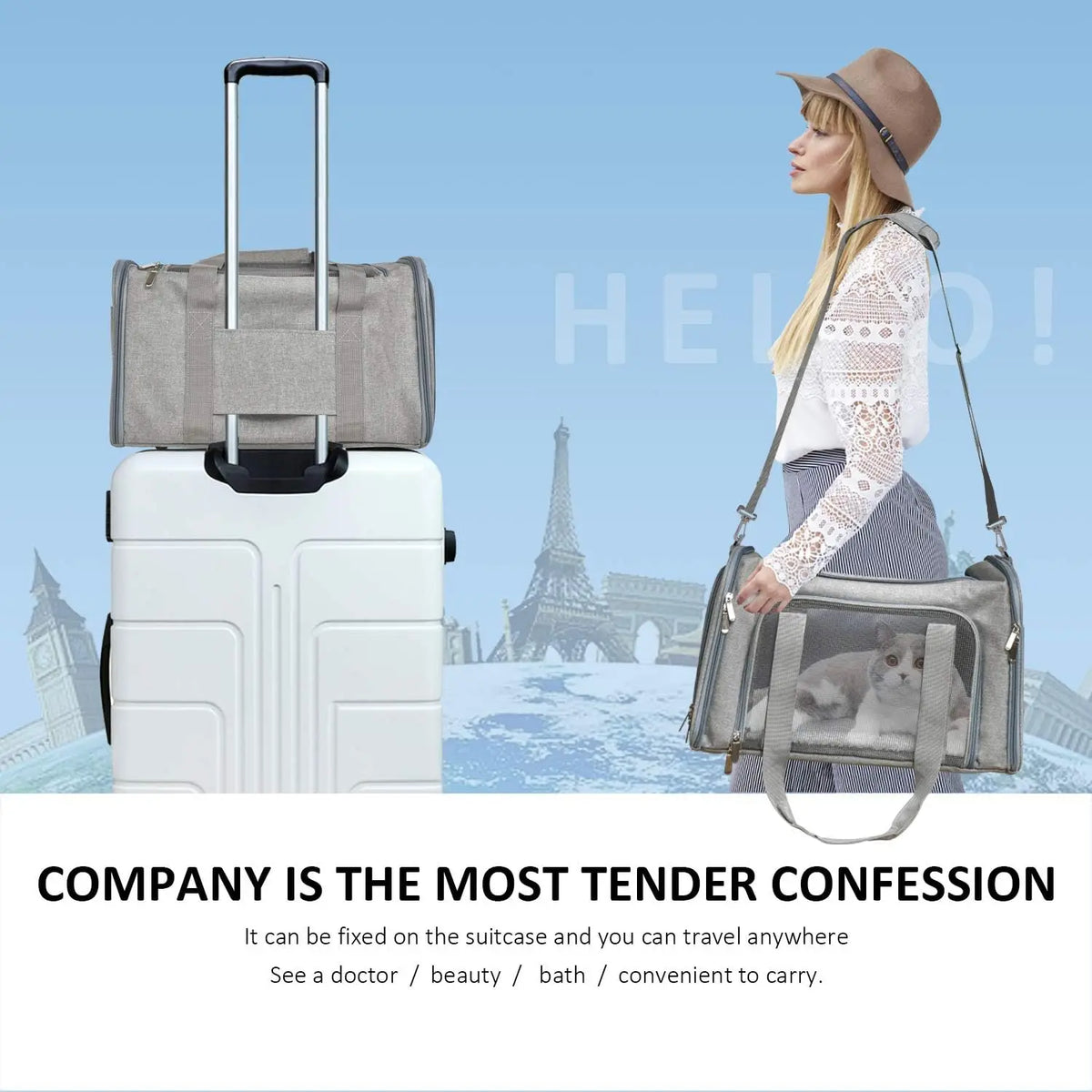 Sac de transport pour chiens de petite et moyenne taille jusqu'à 15 lb, sac de transport approuvé par les compagnies aériennes, sac de transport souple et pliable pour chiots 