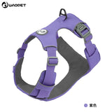 Dog Harness blue in-use scene TPS